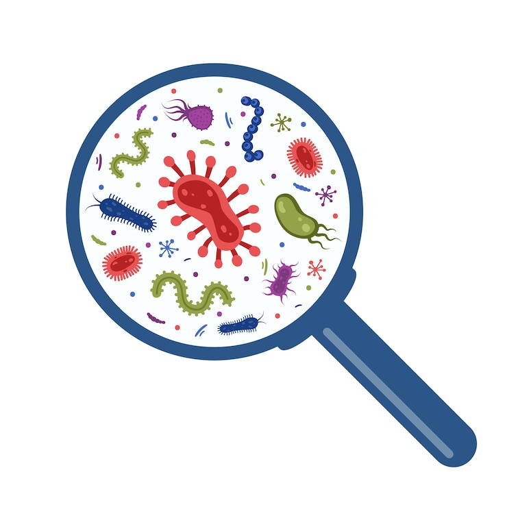 Vector diferentes bacterias microorganismos patógenos bajo una lupa bacterias y gérmenes