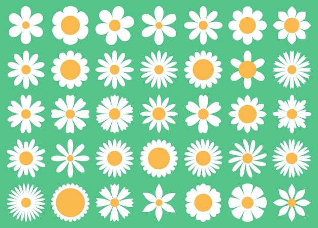 Diferentes camomilas primitivas decorativas blancas plantas simples varios pétalos florecen en verano iconos redondos elementos de decoración ordenado conjunto botánico aislado vectorial.