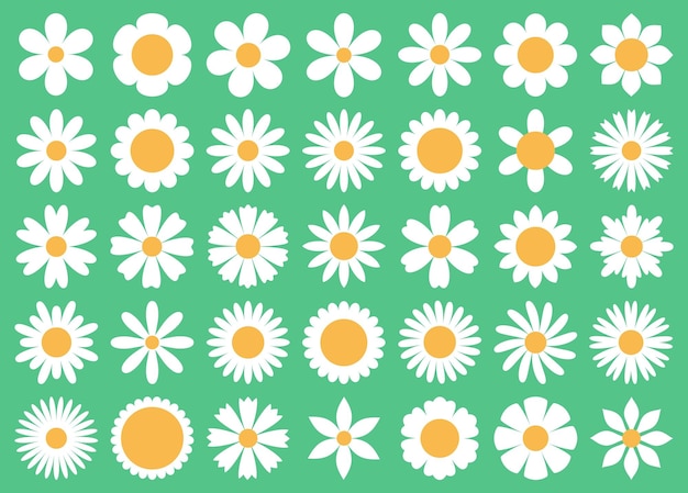 Vector diferentes camomilas primitivas decorativas blancas plantas simples varios pétalos florecen en verano iconos redondos elementos de decoración ordenado conjunto botánico aislado vectorial.