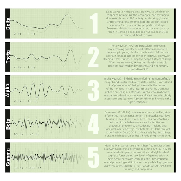 Diferentes diagramas de ondas cerebrales