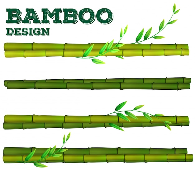 Vector diferentes diseños de bambú con tallo y hojas