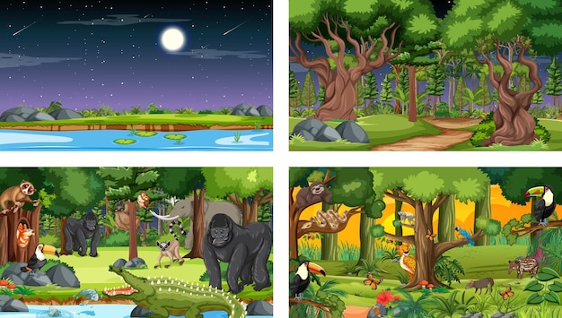 Diferentes escenas de la naturaleza del bosque y la selva tropical con animales salvajes.