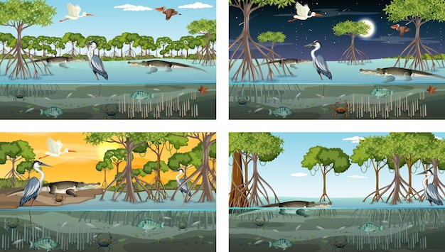 Diferentes escenas de paisaje de bosque de manglar con animales.