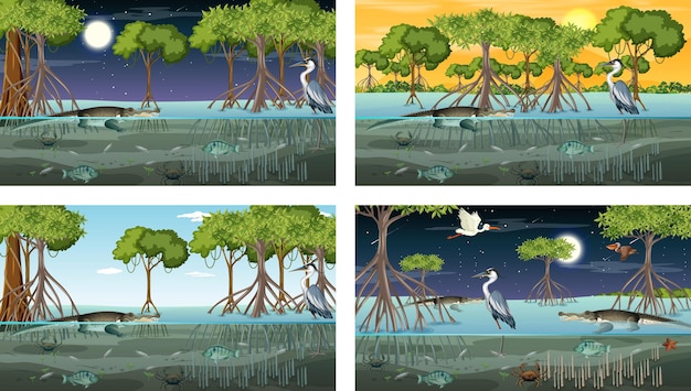 Diferentes escenas de paisajes de bosques de manglares con animales y plantas.