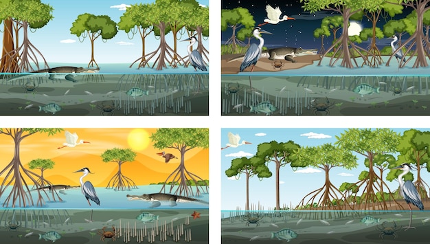 Diferentes escenas de paisajes de bosques de manglares con animales y plantas.