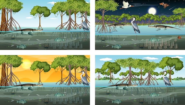 Diferentes escenas de paisajes de bosques de manglares con animales y plantas.