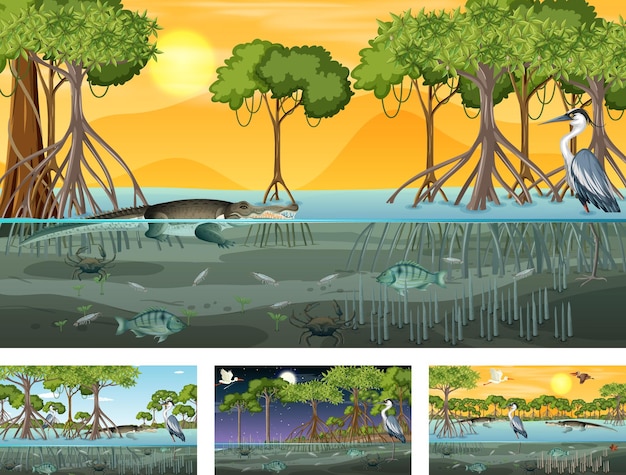 Diferentes escenas de paisajes de bosques de manglares con animales y plantas.