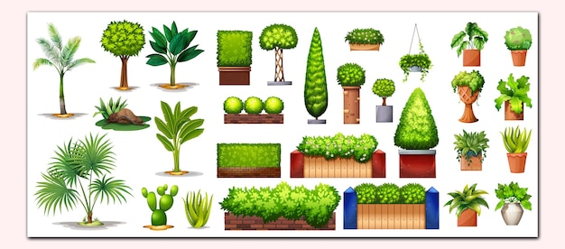 Vector diferentes especies de plantas