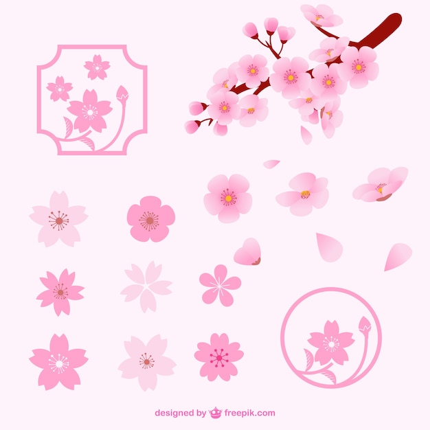 Vector diferentes flores de cerezo