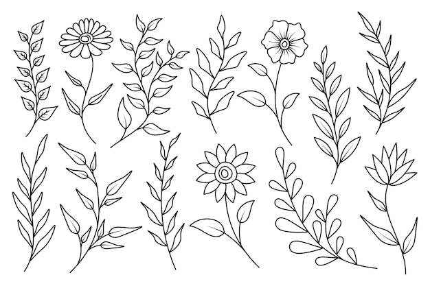 diferentes flores y hojas dibujadas sobre un fondo blanco