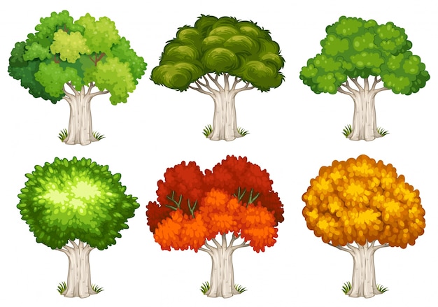 Vector diferentes formas de árboles ilustración