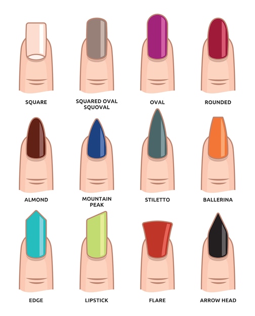 Vector diferentes formas de uñas