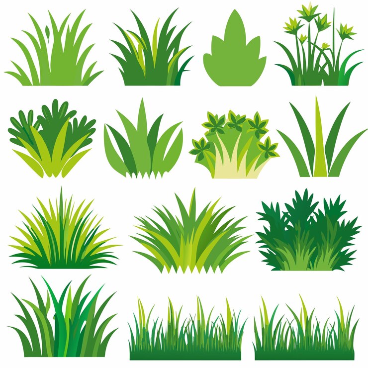 Vector diferentes garabatos de hierba