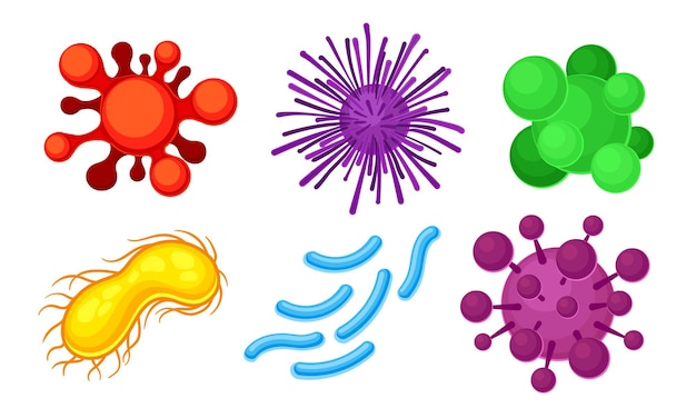 Diferentes microorganismos aislados sobre un fondo blanco Conjunto ilustrado de vectores Microbios y bacterias Colección de laboratorio