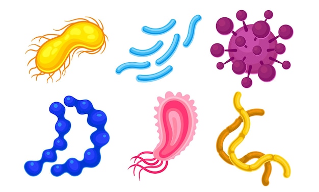 Diferentes microorganismos aislados sobre un fondo blanco Conjunto ilustrado de vectores Microbios y bacterias Colección de laboratorio
