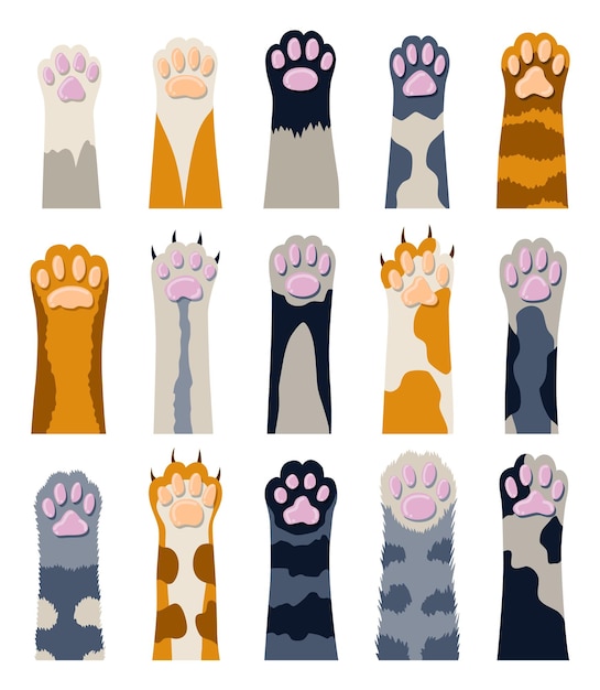 Vector diferentes patas de gato colección de varios lindos dibujos animados animales domésticos pie aislado sobre fondo blanco juego de patas de gatito peludo