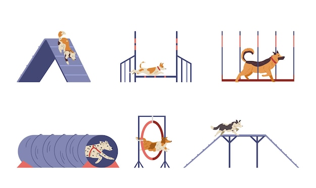 Diferentes perros en el conjunto de vectores planos de campo de agilidad. Perros pasando diferentes obstáculos de entrenamiento. Aislado.