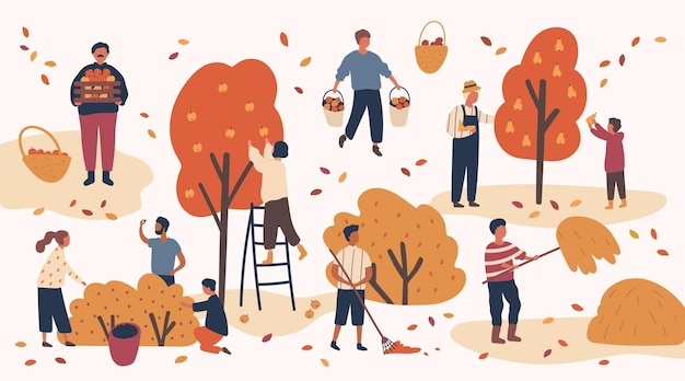 Diferentes personas recogiendo frutas y bayas, eliminan el heno y las hojas. Hombres y mujeres trabajan en una granja, en los huertos. Los trabajadores agrícolas cosechan en otoño. Ilustración de vector de estilo de dibujos animados plana.