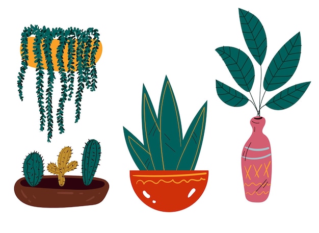 Diferentes plantas de interior flores de plantas caseras en diseño de colección de conjunto aislado de dibujos animados de estilo garabato de maceta