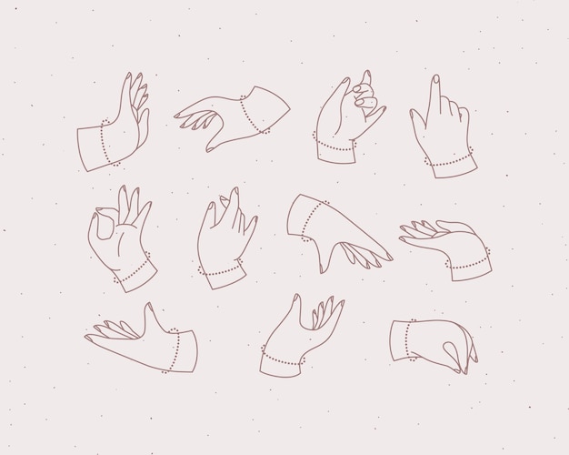 Las diferentes posiciones de la mano del Renacimiento son de color rosa claro