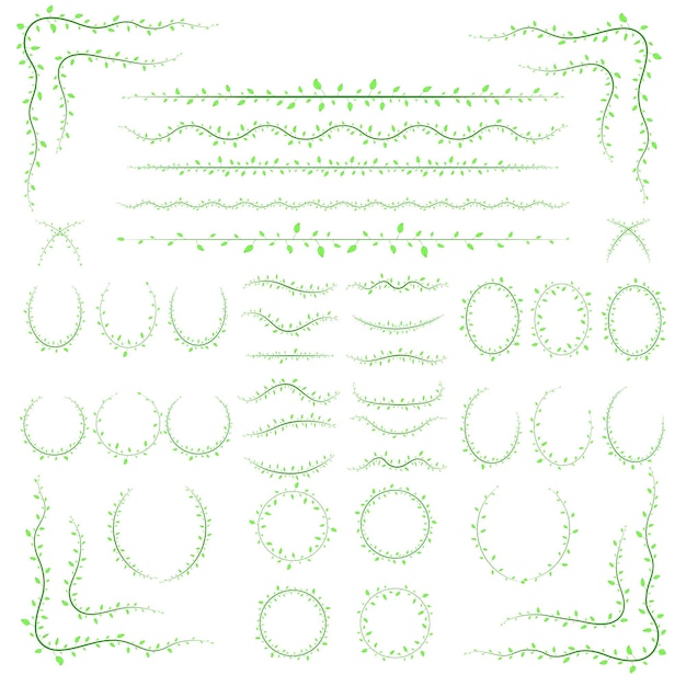 Diferentes ramas aisladas en fondo blanco en vector