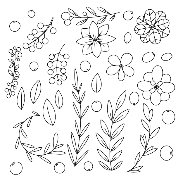 Diferentes ramas, hojas y flores sobre un fondo blanco. doodle, dibujo de hierbas. | Vector Premium Diferentes ramas, hojas y flores sobre un fondo blanco. doodle, dibujo de hierbas. | Vector Premium
