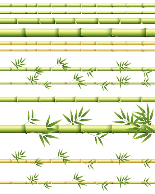 Vector diferentes tamaños de tallos de bambú con y sin hojas