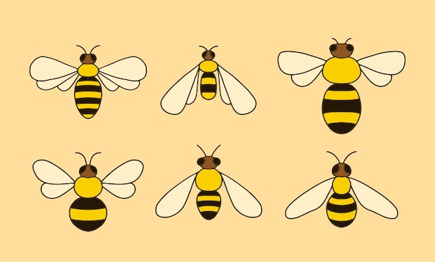 Vector diferentes tipos de abejas