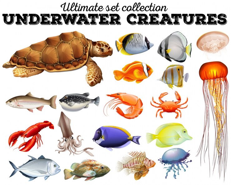 Vector diferentes tipos de animales marinos ilustración