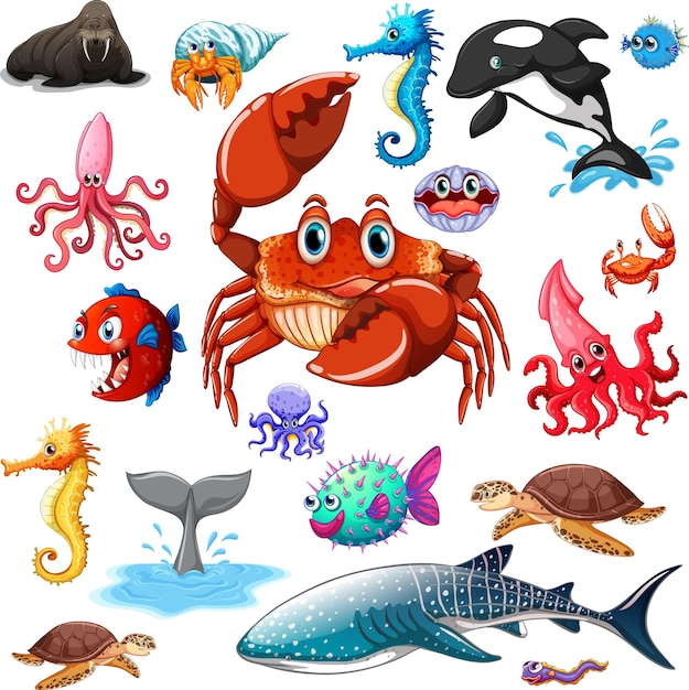 Diferentes tipos de animales marinos