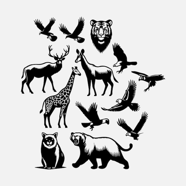 A Diferentes tipos de animales silvestres vector Diferentes tipo de animales silventos en la ilustración blanca