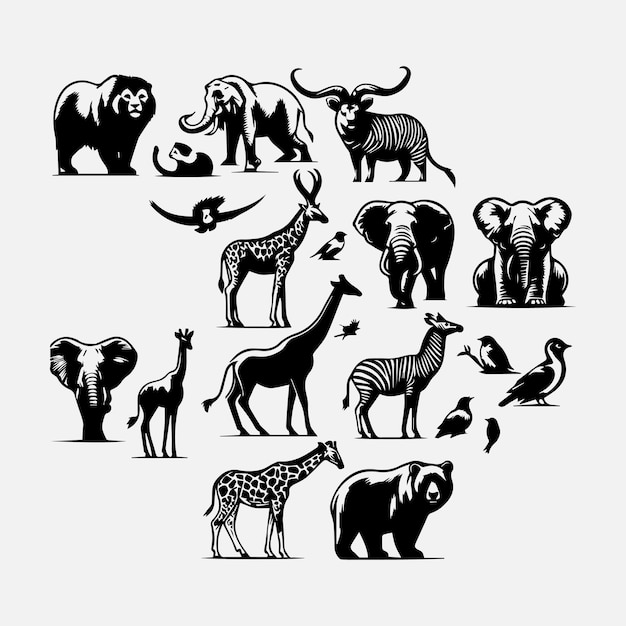 A Diferentes tipos de animales silvestres vector Diferentes tipo de animales silventos en la ilustración blanca