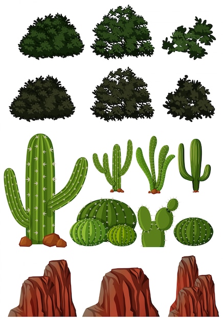 Diferentes tipos de árboles y montañas