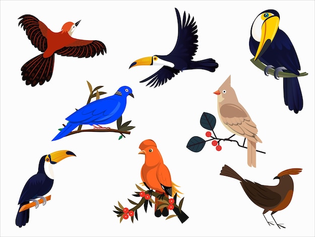 Vector diferentes tipos de aves