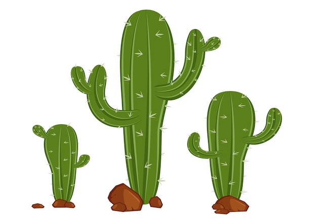Diferentes tipos de cactus en vector de estilo plano