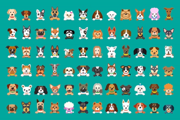 Diferentes tipos de caras de perro de dibujos animados vector
