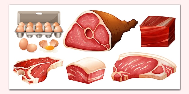 Vector diferentes tipos de carne fresca