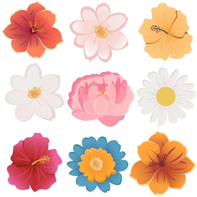 Diferentes tipos de flores aisladas sobre un fondo blanco Ilustración vectorial EPS10