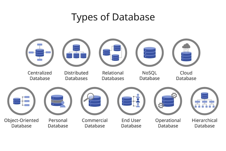 Vector diferentes tipos de iconos de bases de datos como base de datos centralizada base de datos distribuida relacional