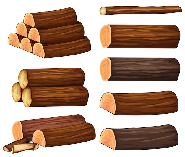 Diferentes tipos de ilustración de las maderas