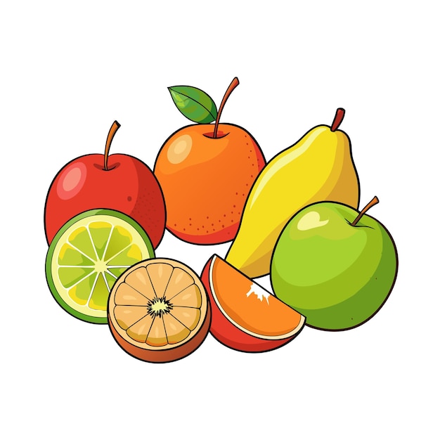 Diferentes tipos de ilustración vectorial de frutas Concepto