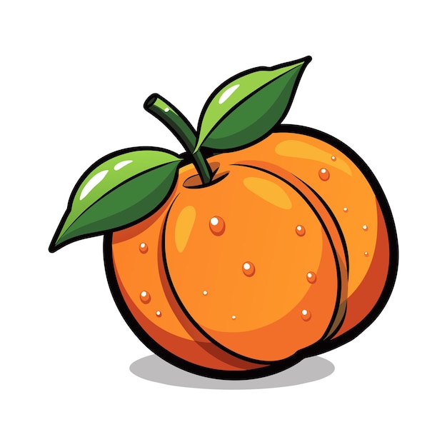 Diferentes tipos de ilustración vectorial de frutas Concepto