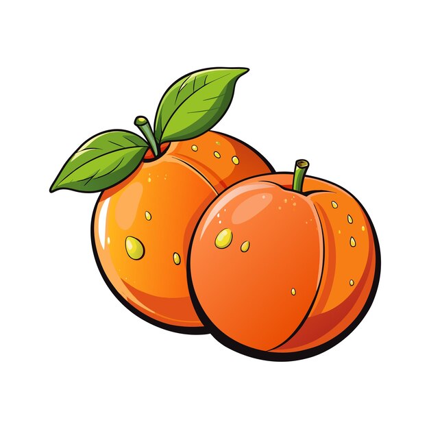 Diferentes tipos de ilustración vectorial de frutas Concepto