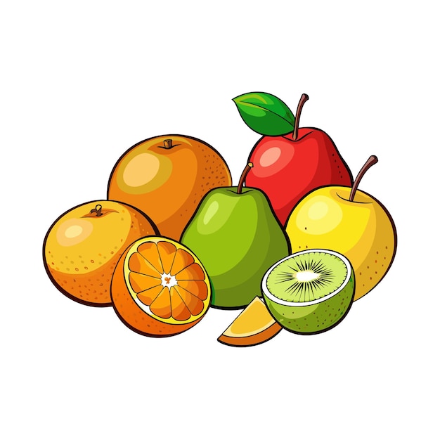 Diferentes tipos de ilustración vectorial de frutas Concepto