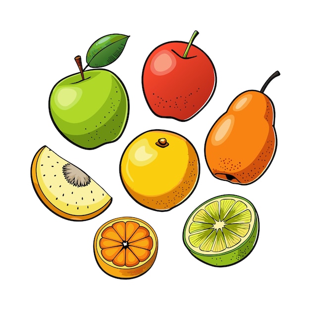 Diferentes tipos de ilustración vectorial de frutas Concepto