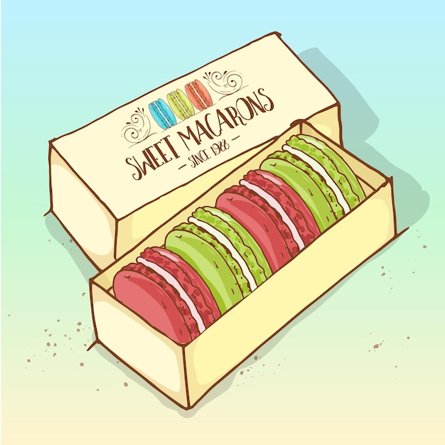 Vector diferentes tipos de macarons en la caja, boceto dibujado a mano y color.