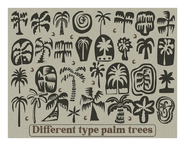 Diferentes tipos de palmeras