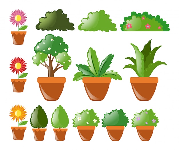 Vector diferentes tipos de plantas en maceta