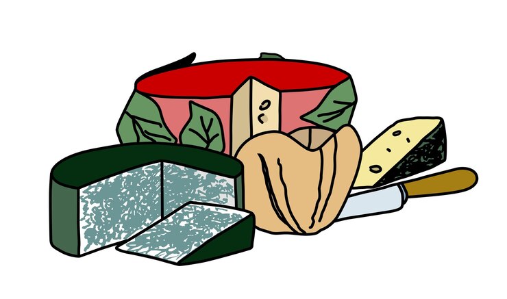 Vector diferentes tipos de queso tradicional cabrales cheddar vidiago gamoneu afuegalpitu y otros