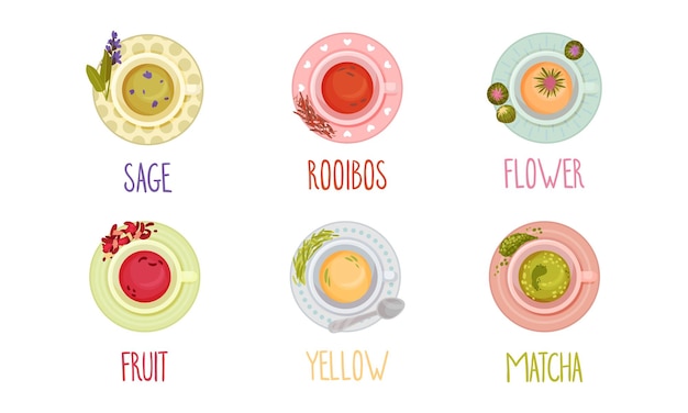Diferentes tipos de té vertidos en tazas y de pie en el conjunto vectorial del platillo